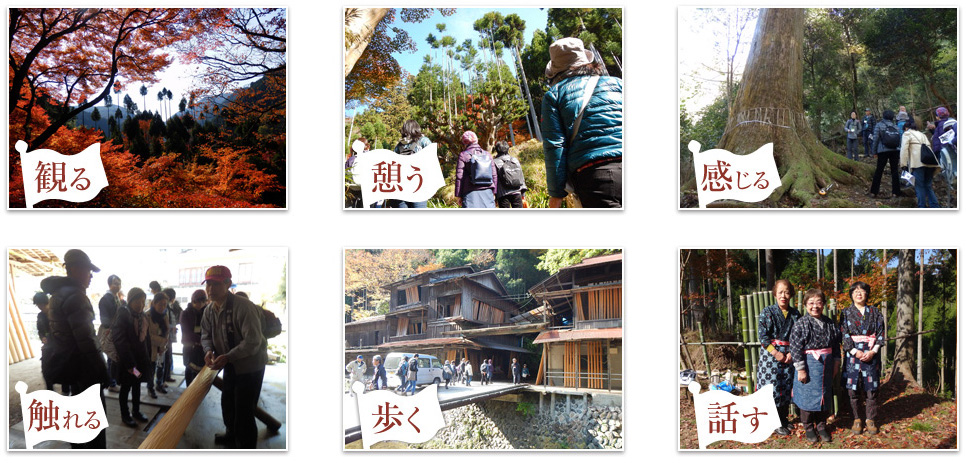 北山杉の里ガイドツアー